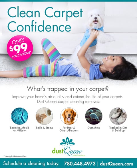 carpet cleaning with confidence