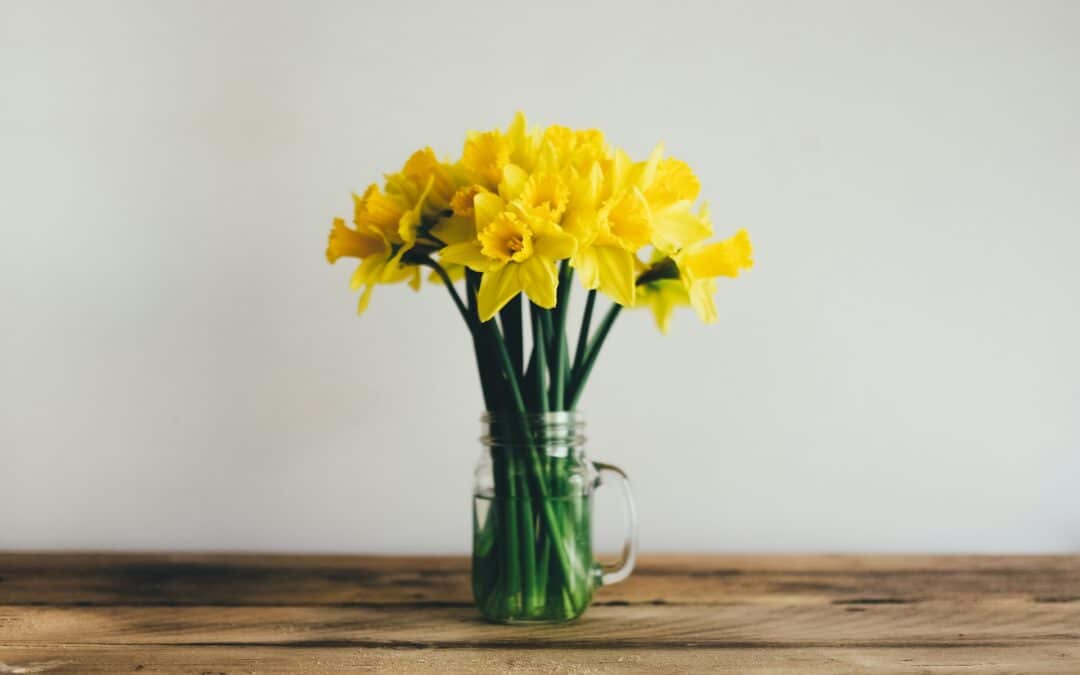 Spring Clean-up: Tips for a Fresh Start