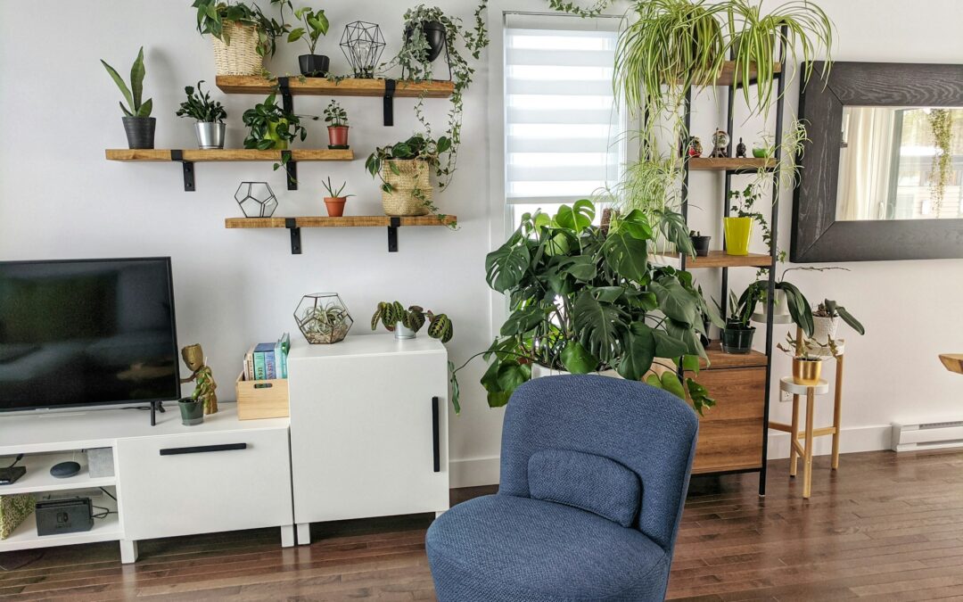 How to Keep Your Home Smelling Fresh Naturally During Winter