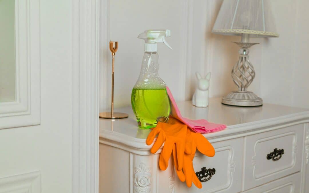 Maid/House Cleaners: How a Professional Cleaning Team Transforms Your Home and Your Time