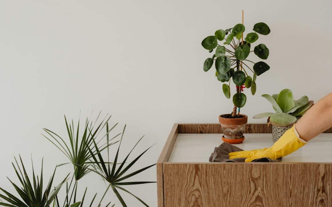 Household Cleaning Made Simple: How a Clean Home Saves Time, Stress, and Money