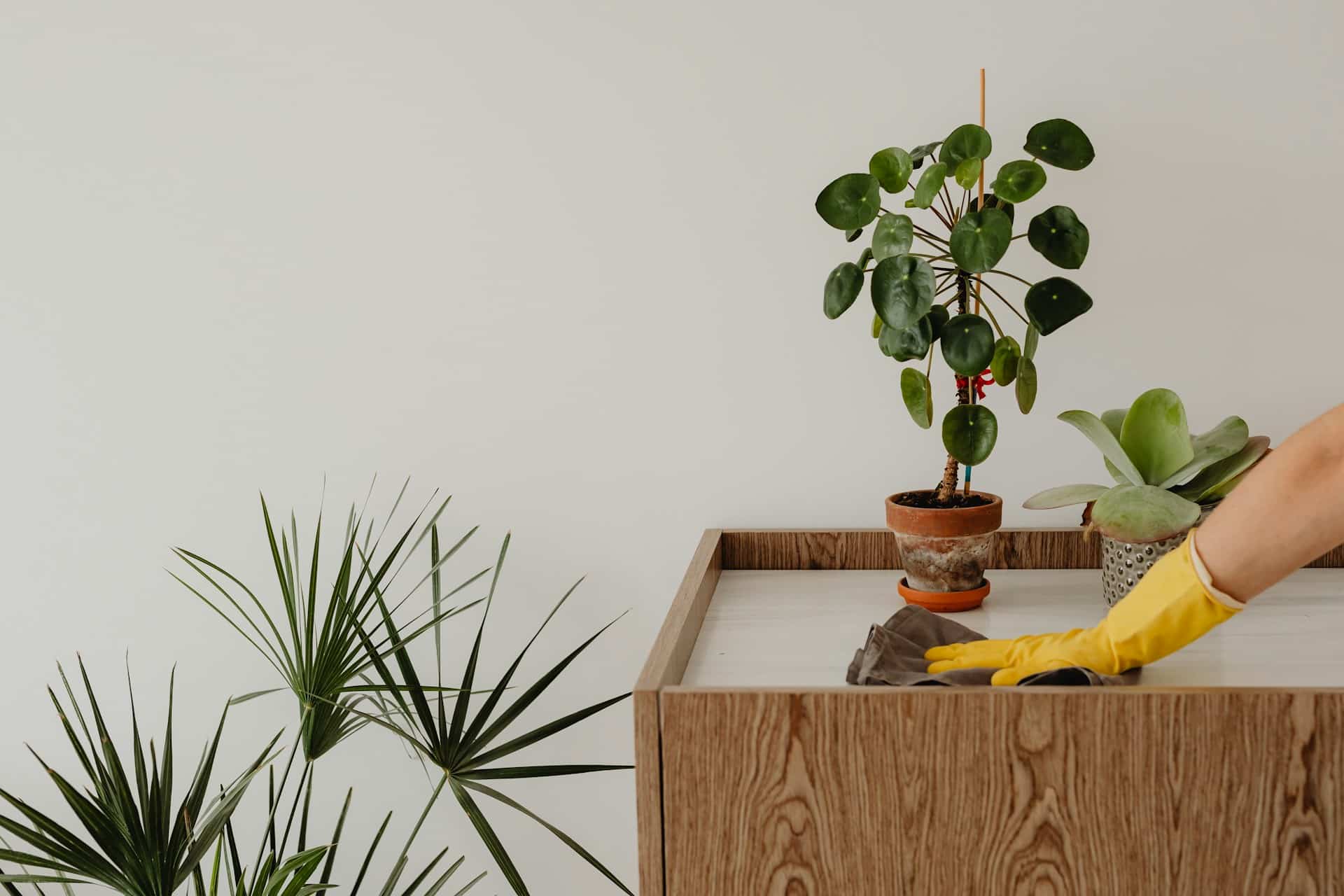 Household Cleaning Made Simple: How a Clean Home Saves Time, Stress, and Money